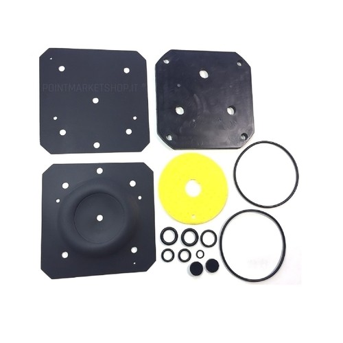 Kit revisione polmone gpl - revisione,